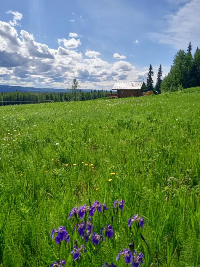 Secluded Log Cabin, 30 Min From Chena Hot Springs Pleasant Valley Kültér fotó