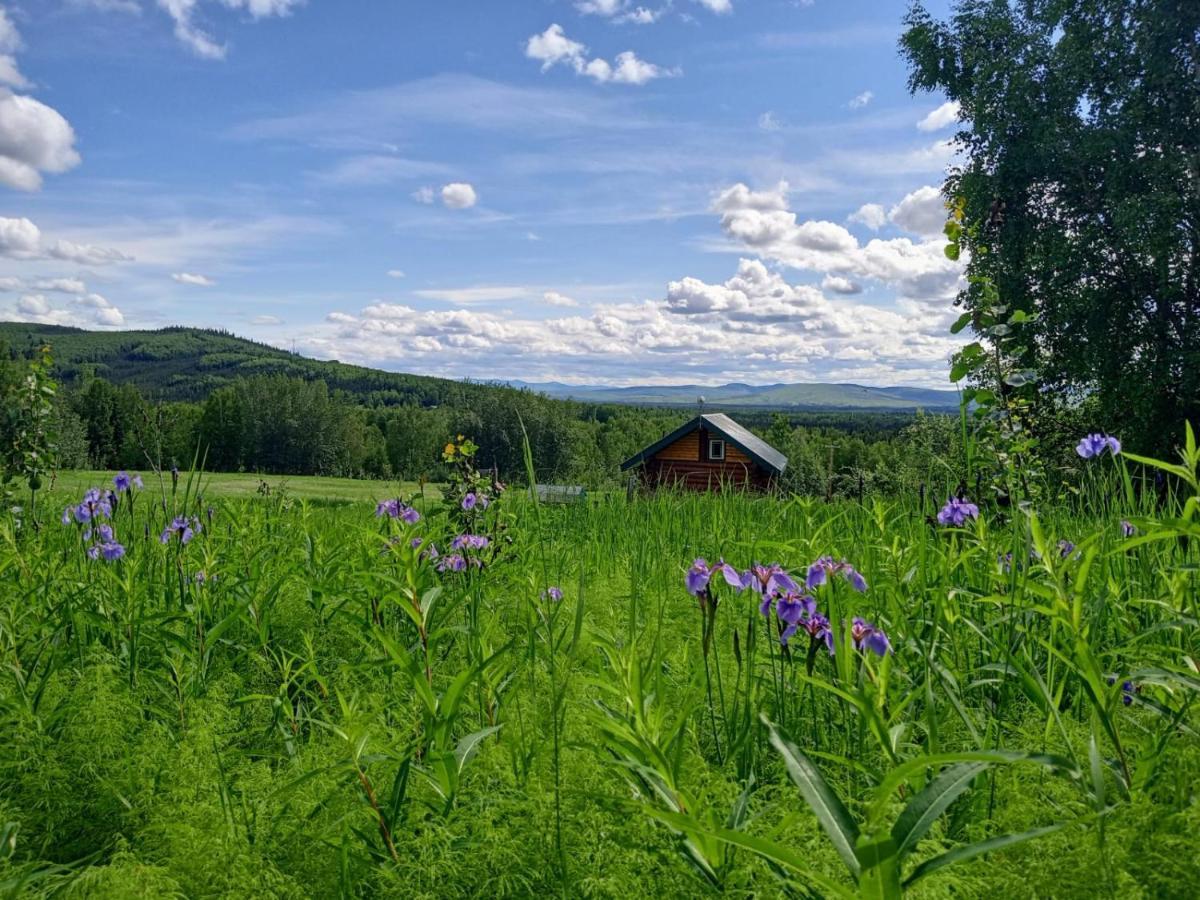 Secluded Log Cabin, 30 Min From Chena Hot Springs Pleasant Valley Kültér fotó